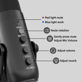 Jmary MC-PW8 Professional USB Microphone